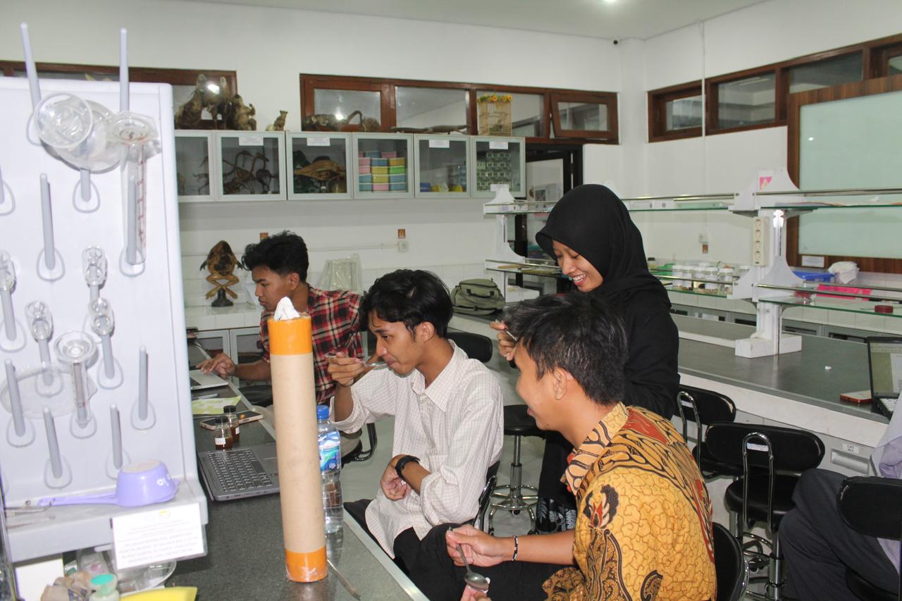 Galeri foto 2